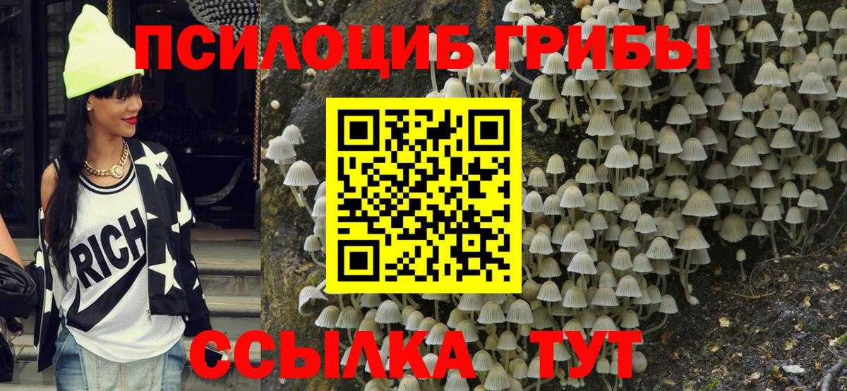 Псилоцибиновые грибы ЛСД Лесозаводск