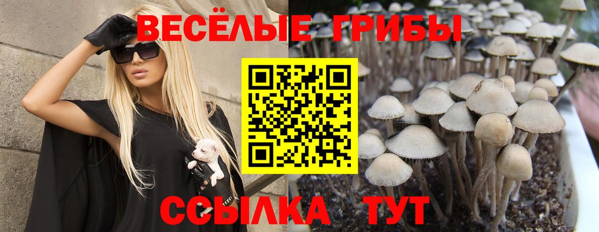 Лесозаводск  Галлюциногенные грибы ЛСД  Псилоцибиновые грибы мухоморы  Вход с VPN 